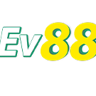 ev88fyi