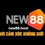 new88host